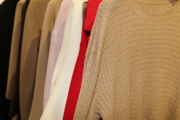 &ldquo;絲駝&rdquo;又一鐘情于駝絨產(chǎn)業(yè)的企業(yè)，綻放2023intertextile