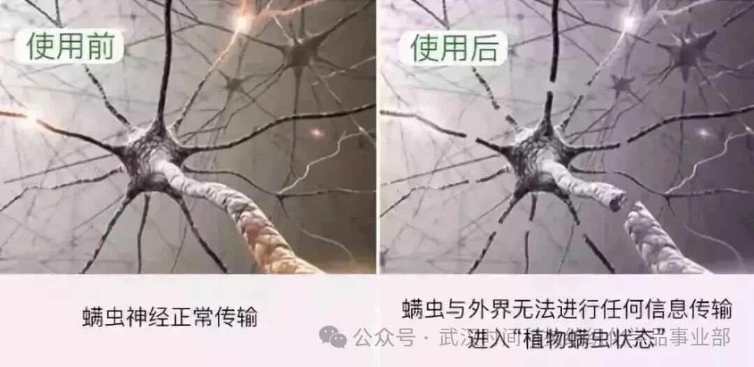  防螨！已成為健康的&ldquo;新剛需&rdquo;--武漢時(shí)間科技推出紡織品防螨整理劑喜化&reg;植螨零