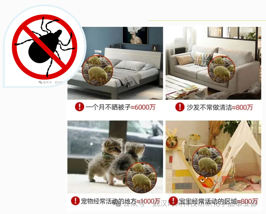 防螨！已成為健康的&ldquo;新剛需&rdquo;--武漢時(shí)間科技推出紡織品防螨整理劑喜化&reg;植螨零